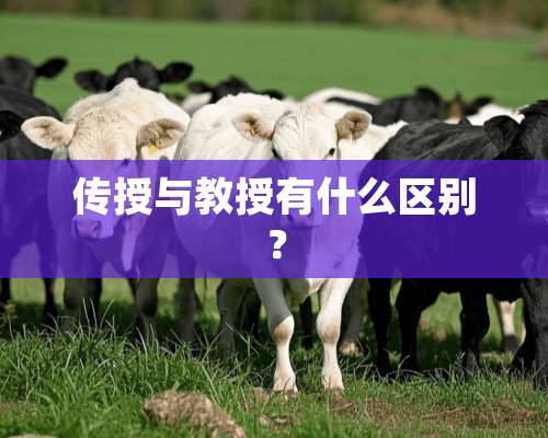 传授与教授有什么区别？