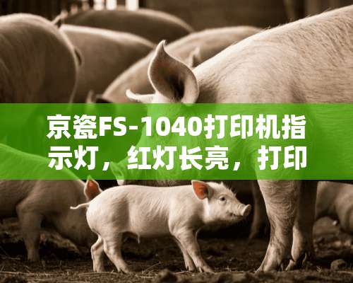 京瓷FS-1040打印机指示灯，红灯长亮，打印机没有反应，打印不起是什么原因？