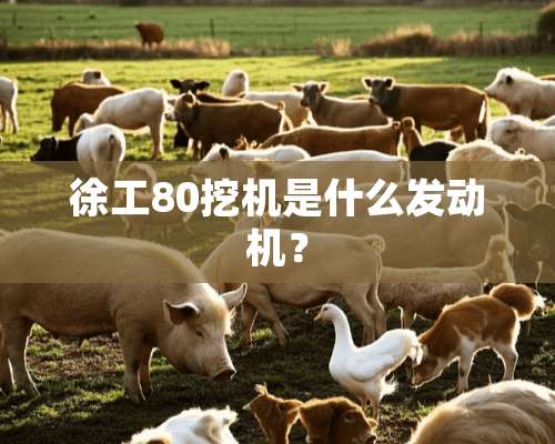 徐工80挖机是什么发动机？