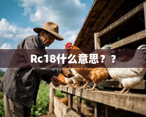 Rc18什么意思？？