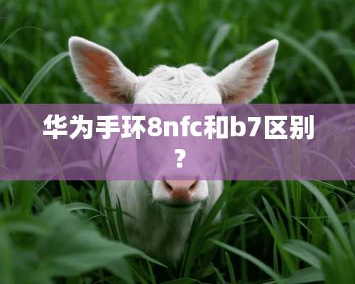 华为手环8nfc和b7区别？