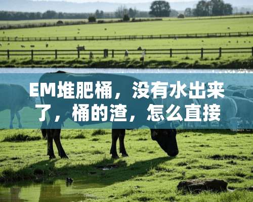 EM堆肥桶，没有水出来了，桶的渣，怎么直接使用？