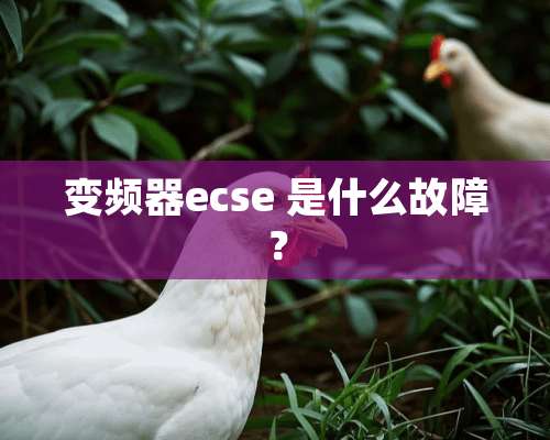 变频器ecse 是什么故障？