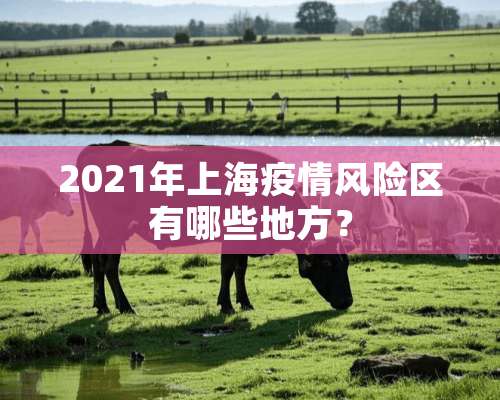 2021年上海疫情风险区有哪些地方？