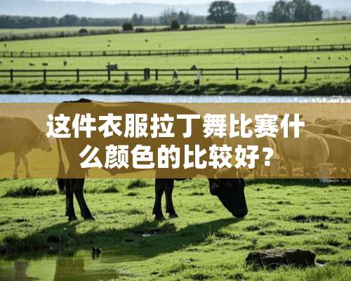 这件衣服拉丁舞比赛什么颜色的比较好？