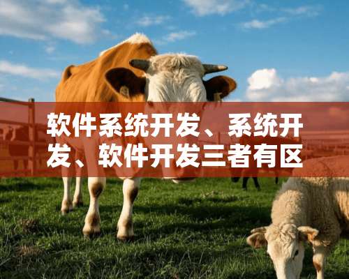 软件系统开发、系统开发、软件开发三者有区别吗？