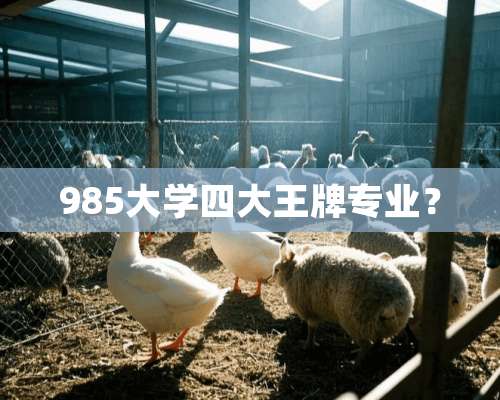 985大学四大王牌专业？