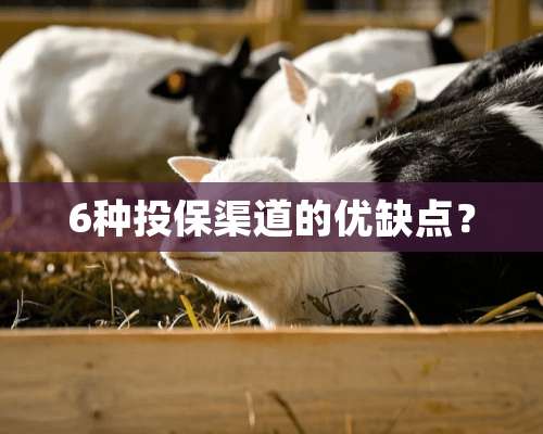 6种投保渠道的优缺点？