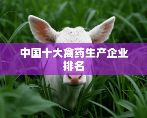 中国十大禽药生产企业排名