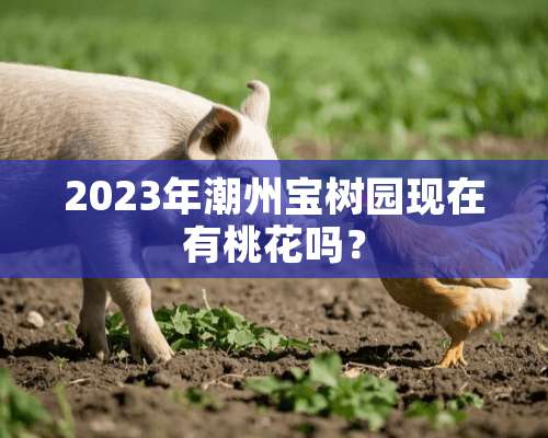 2023年潮州宝树园现在有桃花吗？