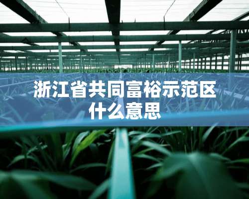 浙江省共同富裕示范区什么意思