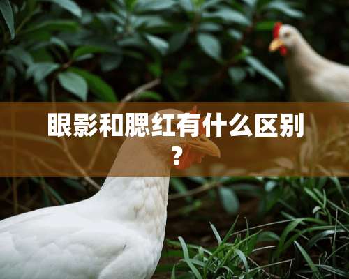 眼影和腮红有什么区别？