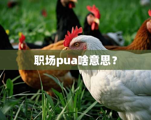 职场pua啥意思？