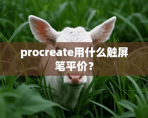 procreate用什么触屏笔平价？