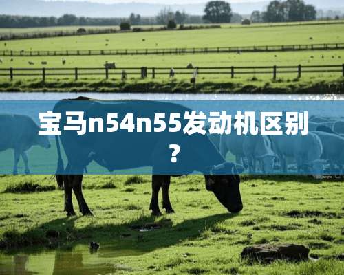 宝马n54n55发动机区别？