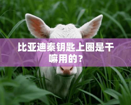 比亚迪秦钥匙上圈是干嘛用的？