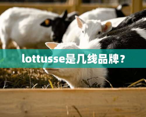 lottusse是几线品牌？