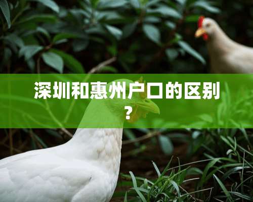 深圳和惠州户口的区别？