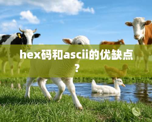 hex码和ascii的优缺点？