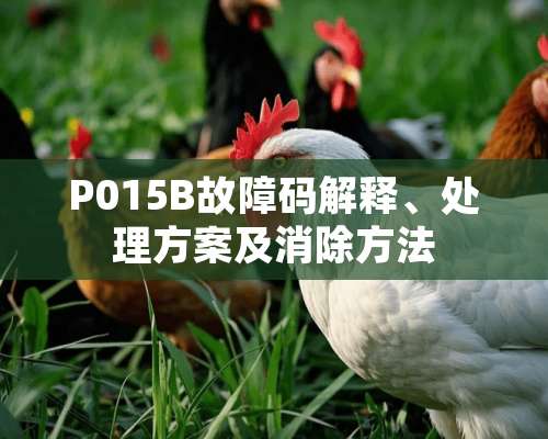 P015B故障码解释、处理方案及消除方法