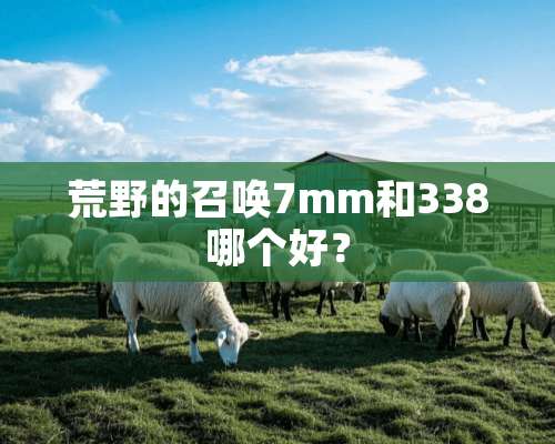 荒野的召唤7mm和338哪个好？