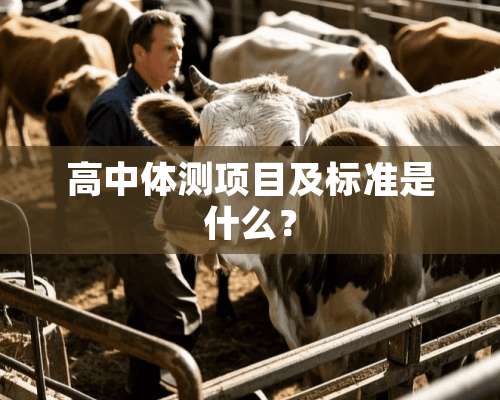 高中体测项目及标准是什么？