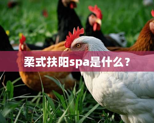 柔式扶阳spa是什么？