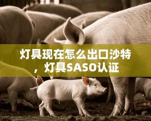 灯具现在怎么出口沙特，灯具SASO认证