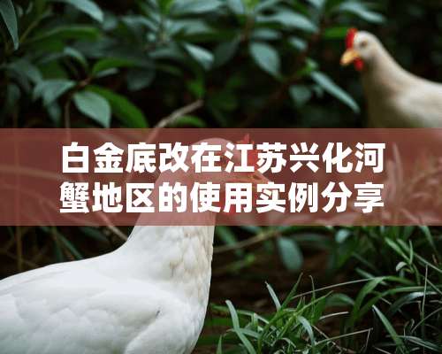 白金底改在江苏兴化河蟹地区的使用实例分享