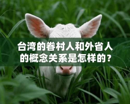 **的眷村人和外省人的概念关系是怎样的？