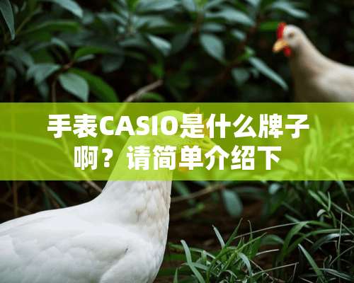 手表CASIO是什么牌子啊？请简单介绍下