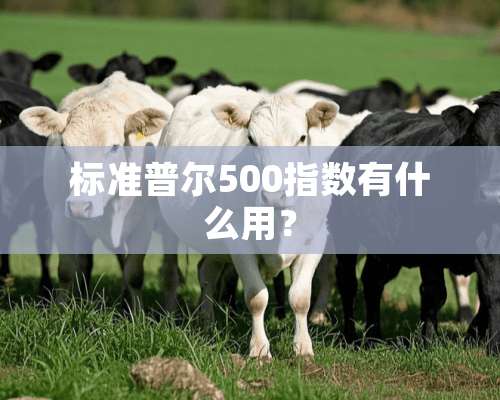 标准普尔500指数有什么用？