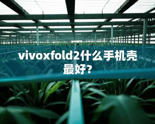 vivoxfold2什么手机壳最好？