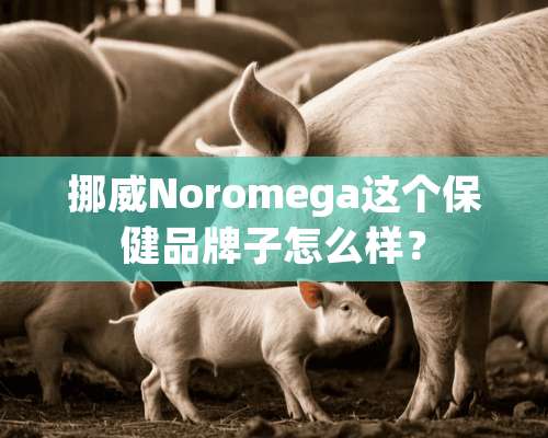 挪威Noromega这个保健品牌子怎么样？