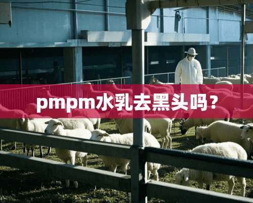 pmpm水*去黑头吗？