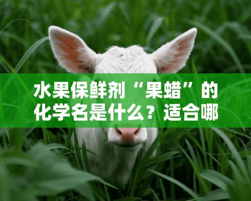 水果保鲜剂“果蜡”的化学名是什么？适合哪些水果用？