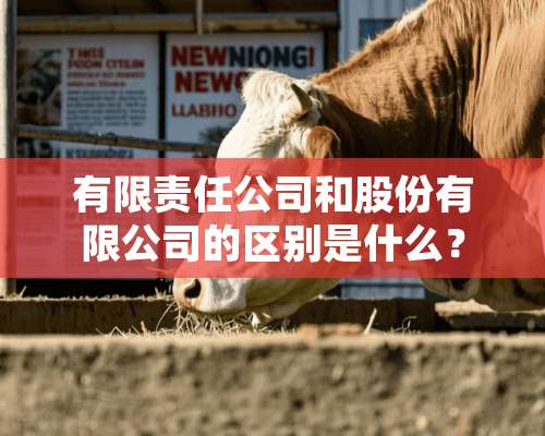 有限责任公司和股份有限公司的区别是什么？