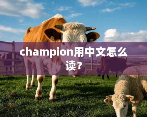 champion用中文怎么读？