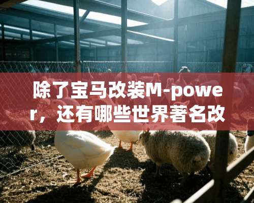 除了宝马改装M-power，还有哪些世界著名改装车厂