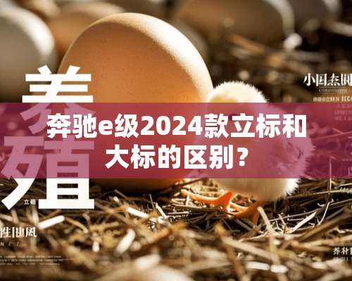 奔驰e级2024款立标和大标的区别？