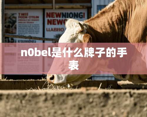 n0bel是什么牌子的手表