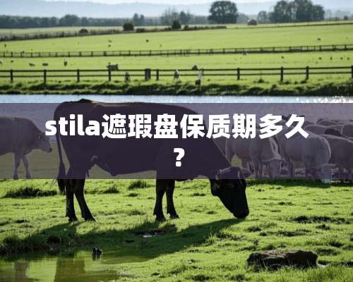 stila遮瑕盘保质期多久？