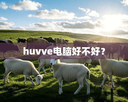 huvve电脑好不好？