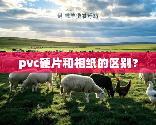 pvc硬片和相纸的区别？