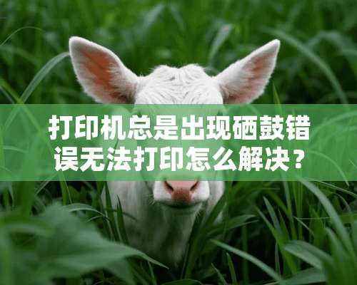 打印机总是出现硒鼓错误无法打印怎么解决？