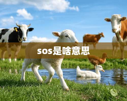 sos是啥意思