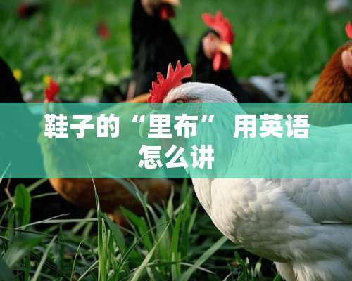 鞋子的“里布” 用英语怎么讲