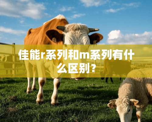 佳能r系列和m系列有什么区别？