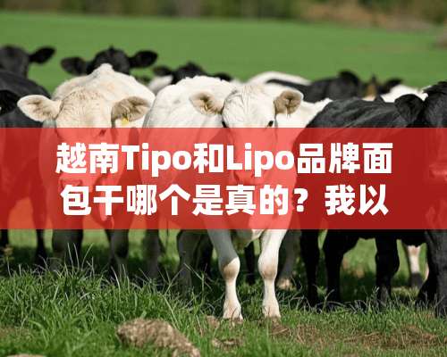 越南Tipo和Lipo品牌面包干哪个是真的？我以前买过Tipo友谊牌的面包干，现