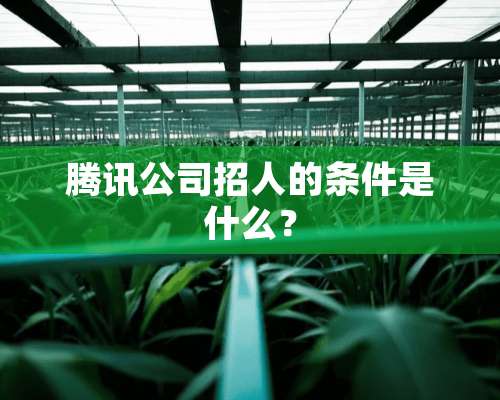 腾讯公司招人的条件是什么？